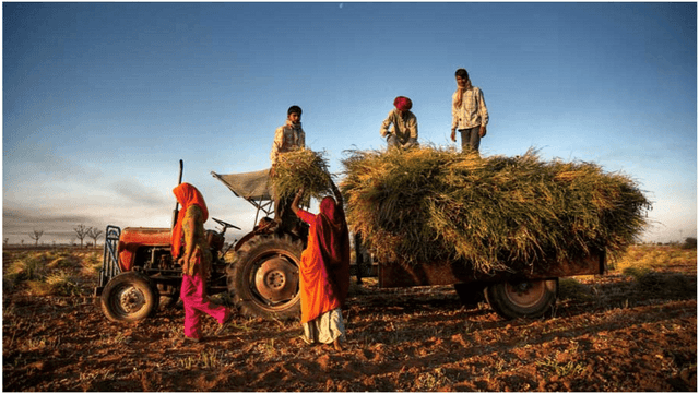 Empowering Growth: Tractor Financing and Indian Farmers