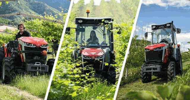 Massey Ferguson unveils MF 3 Series Tractors for Vineyards and Orchards